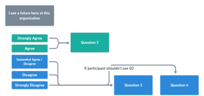 question filtering and branching logic example workflow
